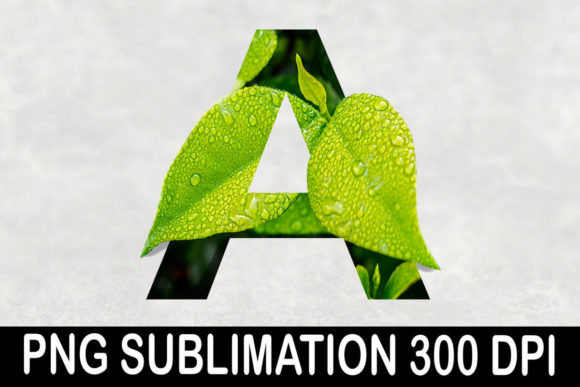 Font a | Leaves: A Fresh Take on Organic Typography